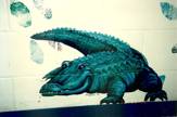 Alligator on a classroom wall